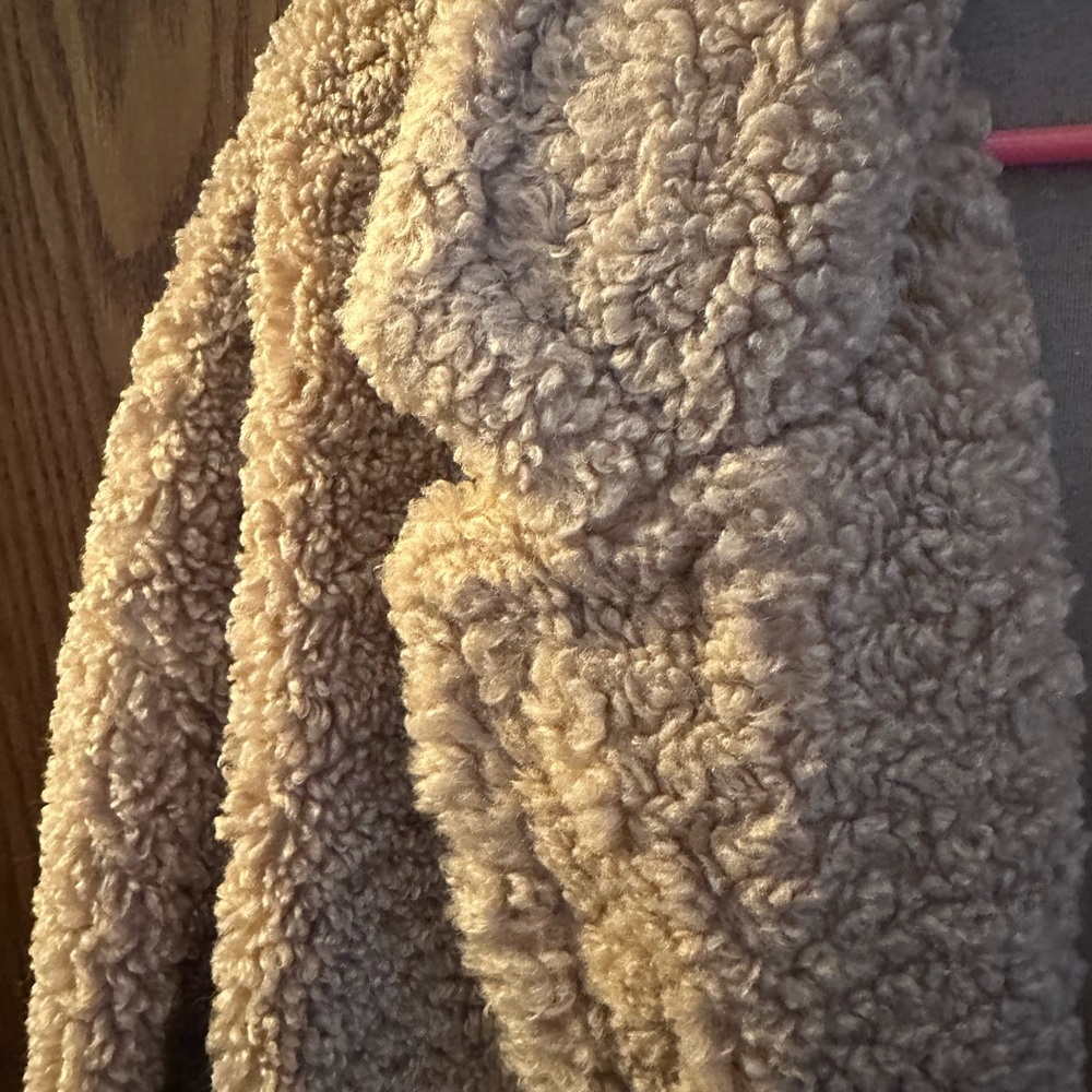 Cozy Beige Teddy Coat - Picture 3 of 5